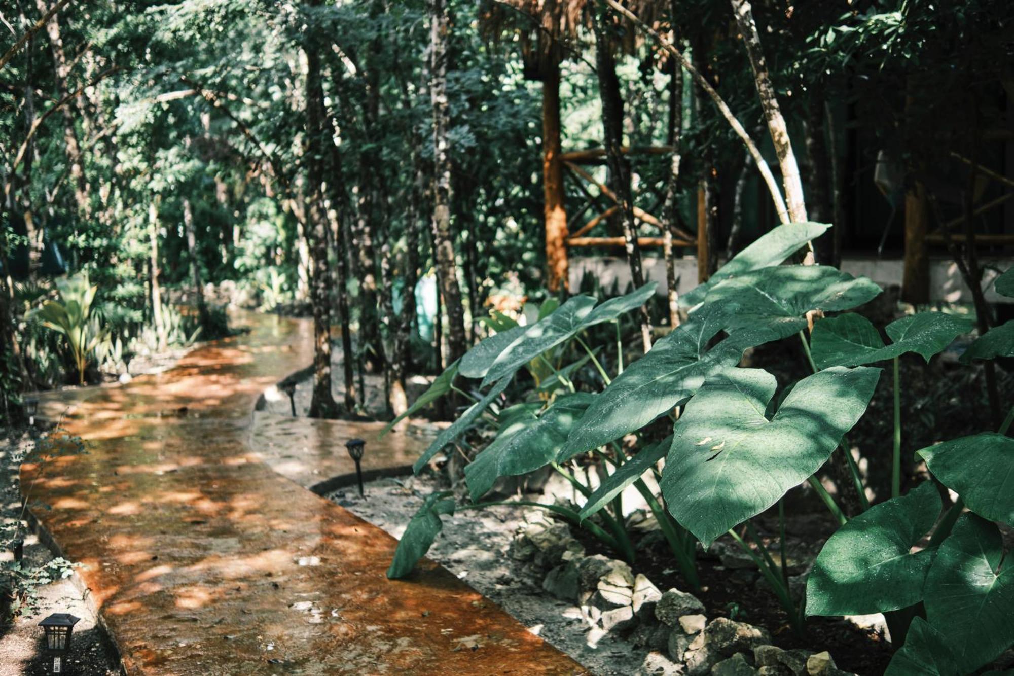Villas Zamna - Jungle Villas Cozumel Exteriér fotografie