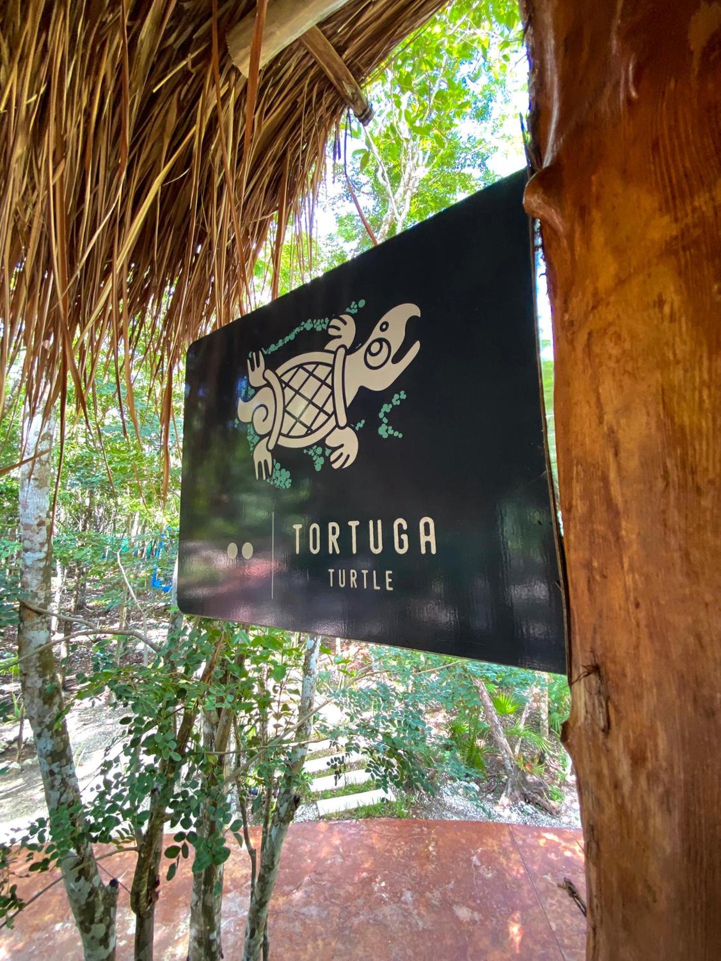 Villas Zamna - Jungle Villas Cozumel Exteriér fotografie