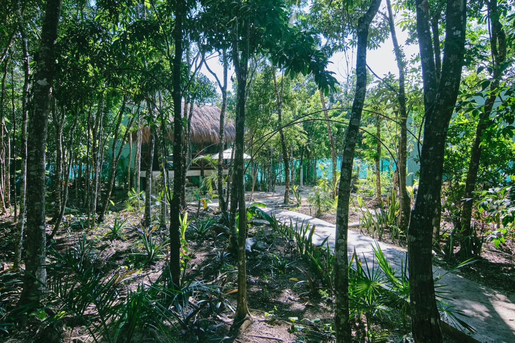 Villas Zamna - Jungle Villas Cozumel Exteriér fotografie