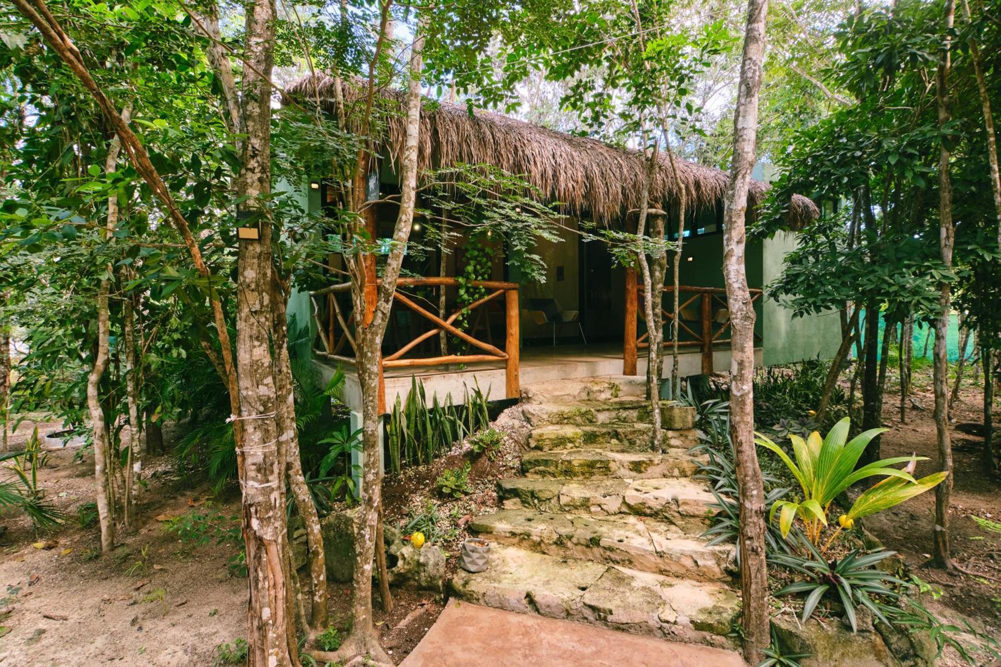 Villas Zamna - Jungle Villas Cozumel Exteriér fotografie