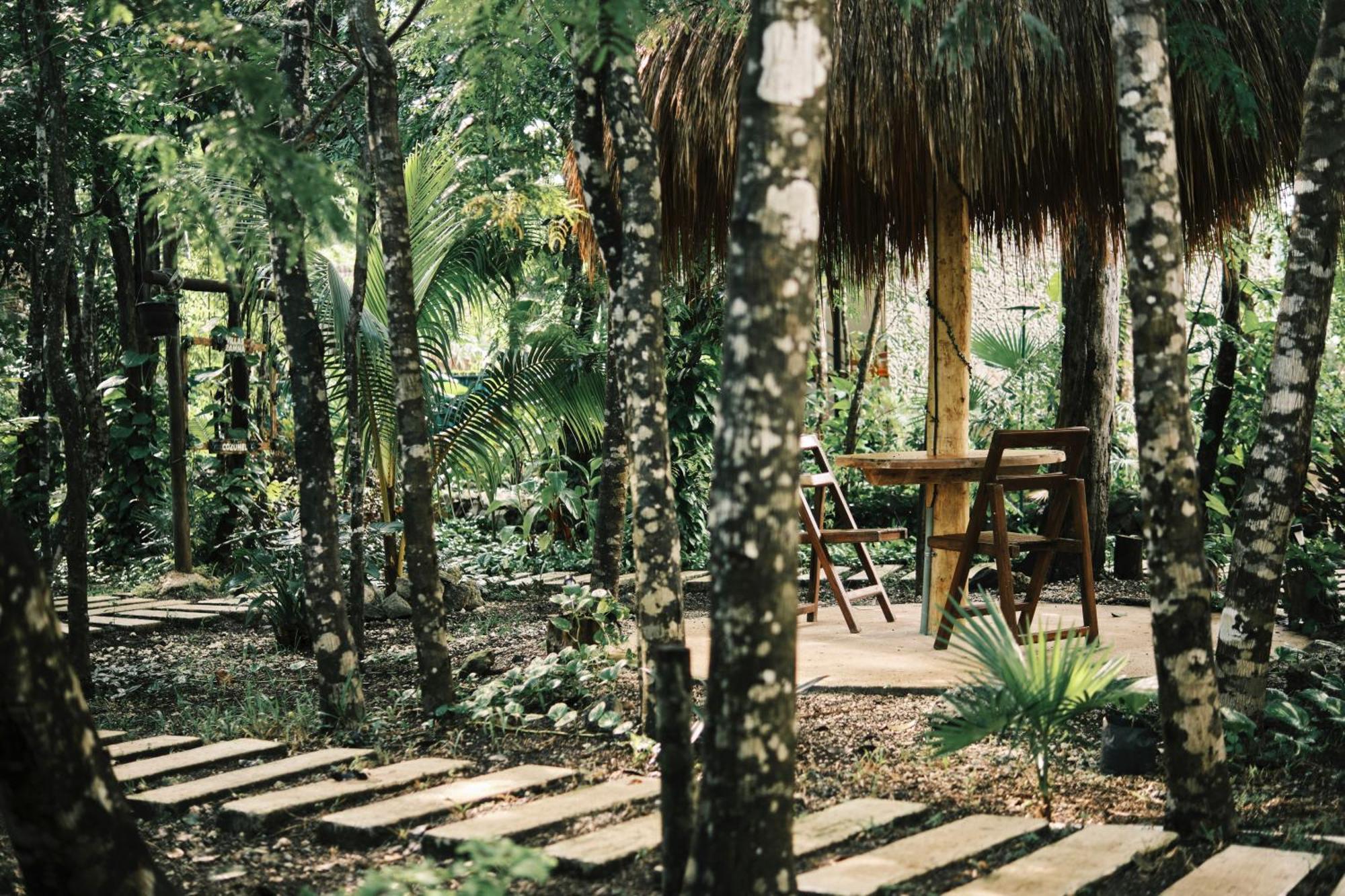Villas Zamna - Jungle Villas Cozumel Exteriér fotografie