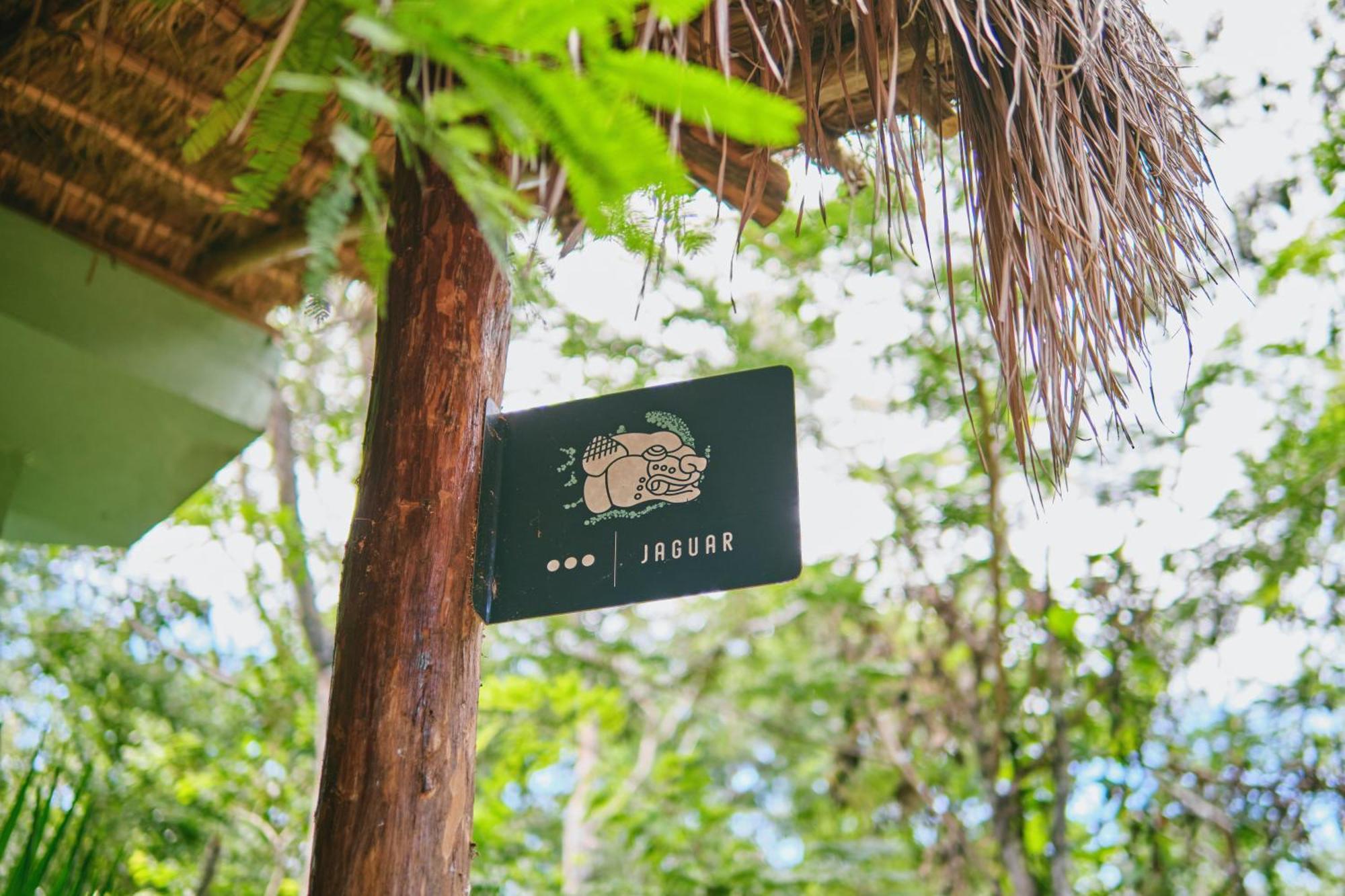 Villas Zamna - Jungle Villas Cozumel Exteriér fotografie